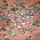 The detonation turned the surrounding sands into glass.